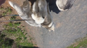 20150607_122647