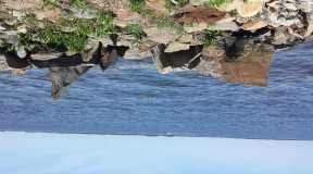 20150607_122729