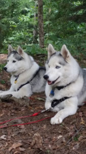 Fiona and Secret in woods