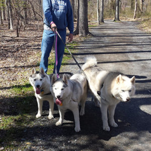 pack on the manasquan trail